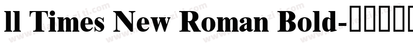 ll Times New Roman Bold字体转换